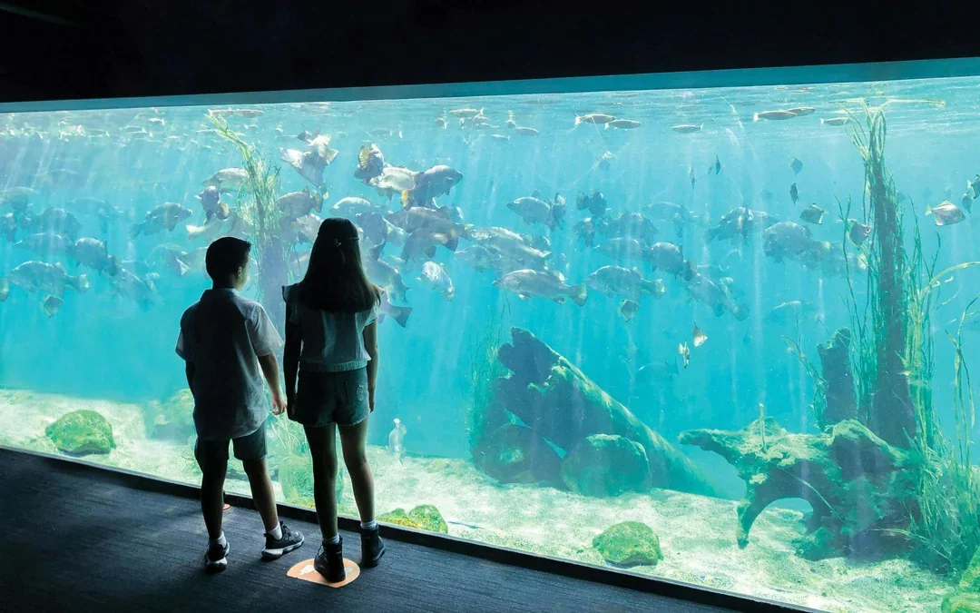 Sydney Zoo Tickets Image 9