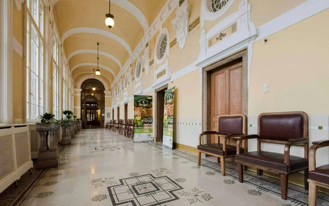 Szechenyi Bath: Beer Spa Experience Image 2