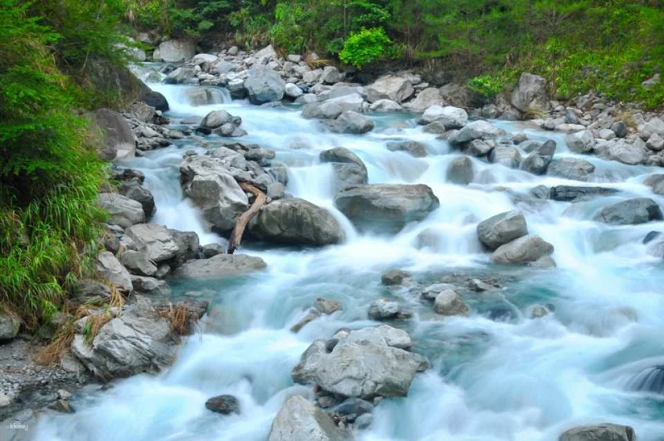 Taichung Baxianshan National Forest Recreation Area Tickets