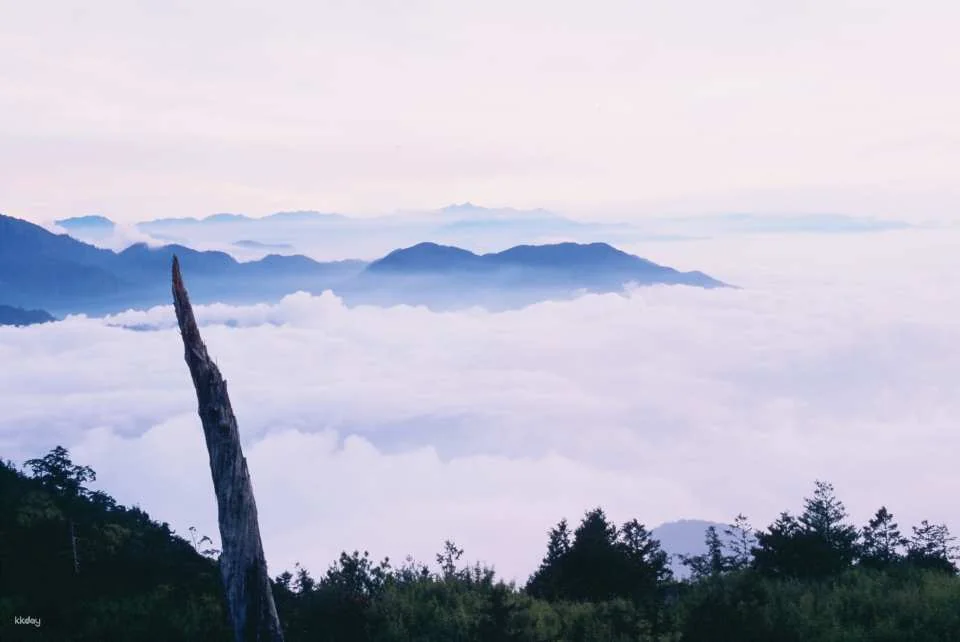 Taichung Daxueshan National Forest Recreation Area Ticket
