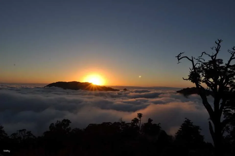 Taichung Daxueshan National Forest Recreation Area Ticket