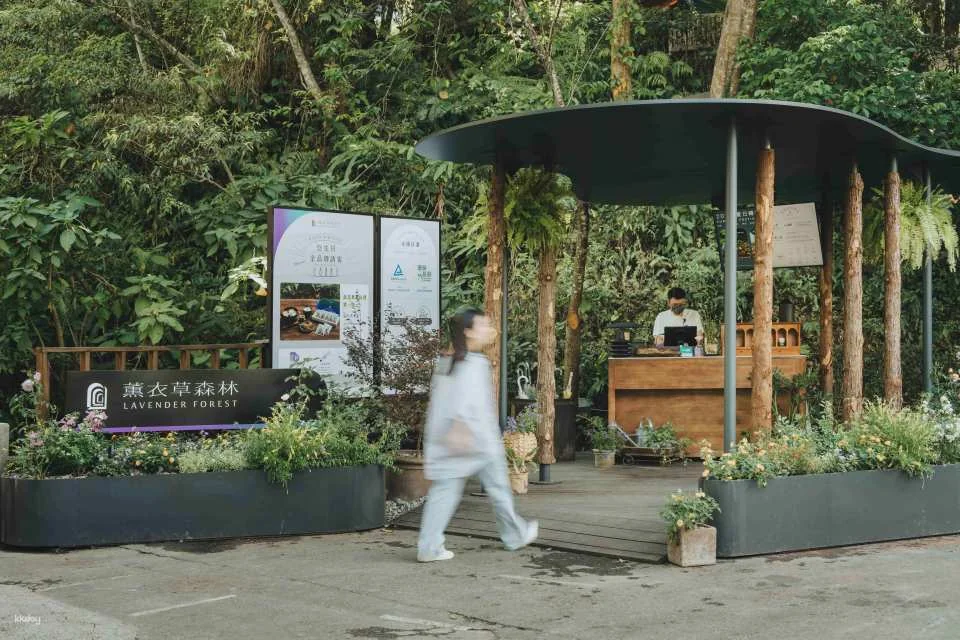 Taichung Lavender Forest Ticket