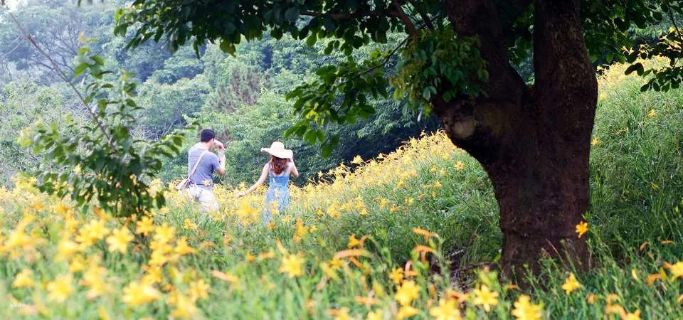 Taichung｜Muxinquan Leisure Farm x Hidden Internet Beauty Spot Half Day Tour｜Agricultural Tour Supermarket