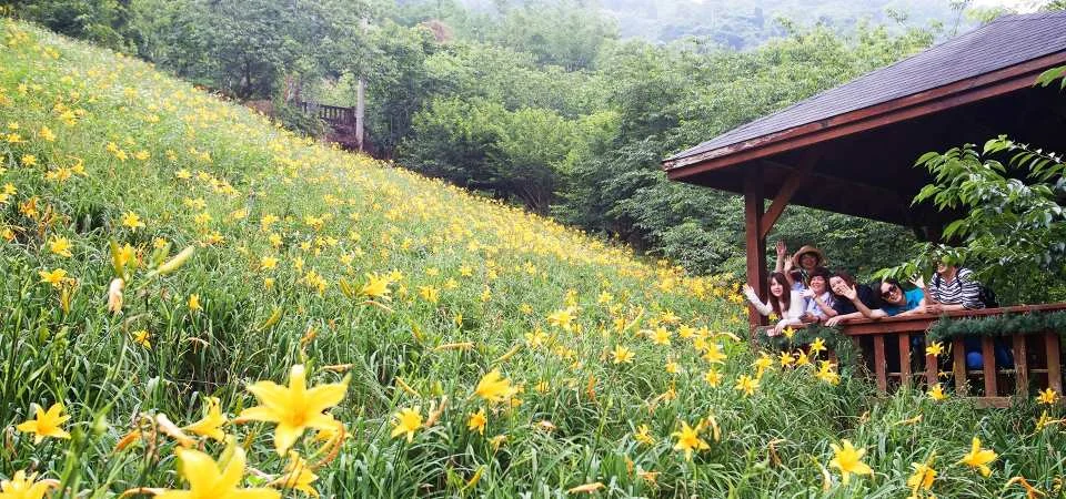 Taichung｜Muxinquan Leisure Farm x Hidden Internet Beauty Spot Half Day Tour｜Agricultural Tour Supermarket