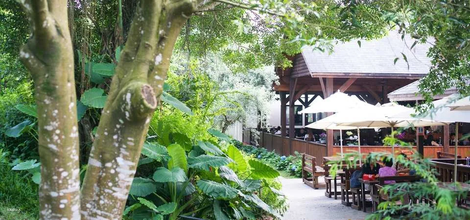 Taichung｜Muxinquan Leisure Farm x Hidden Internet Beauty Spot Half Day Tour｜Agricultural Tour Supermarket