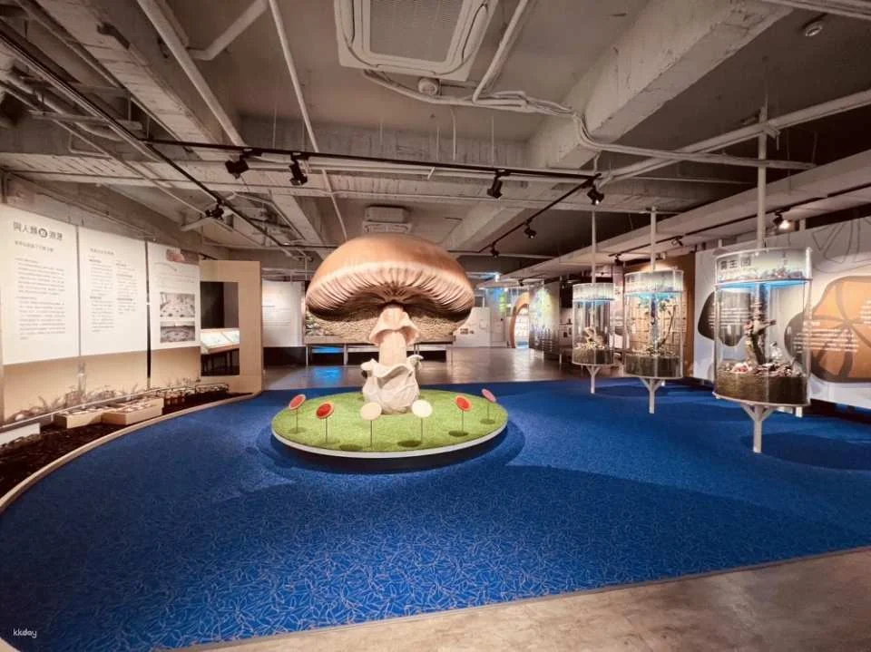 Taichung Wufeng Mushroom Museum Tickets