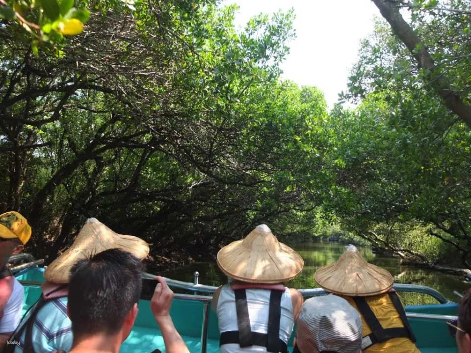 Tainan Sicao Sightseeing Boat | Green Tunnel & Taijiang Route Tickets