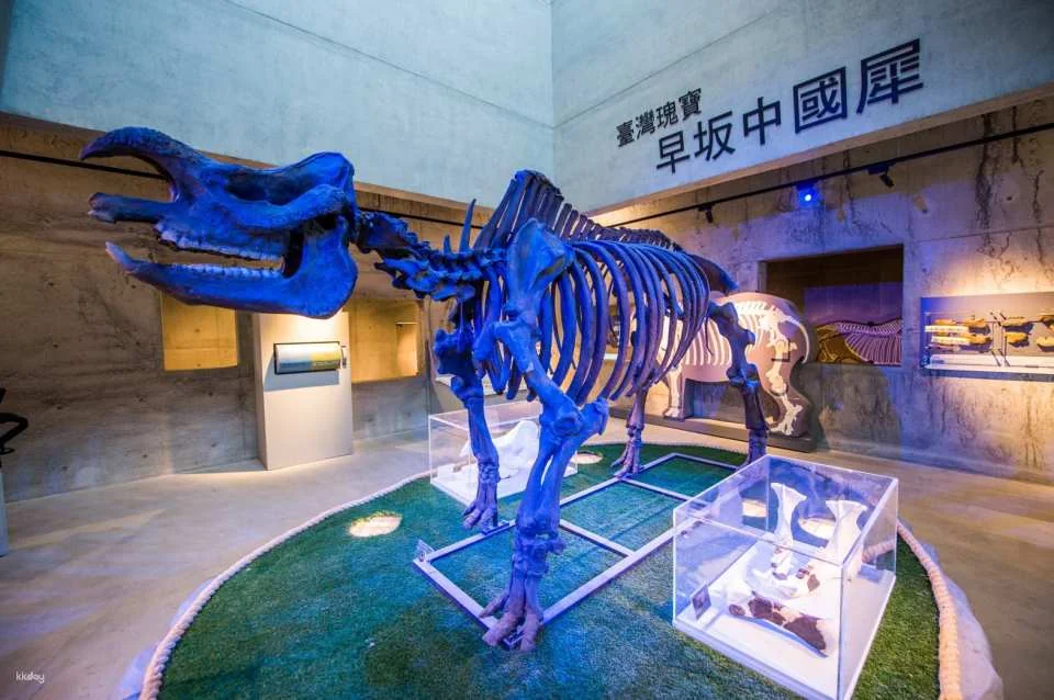 Tainan Zuozhen Fossil Museum Ticket