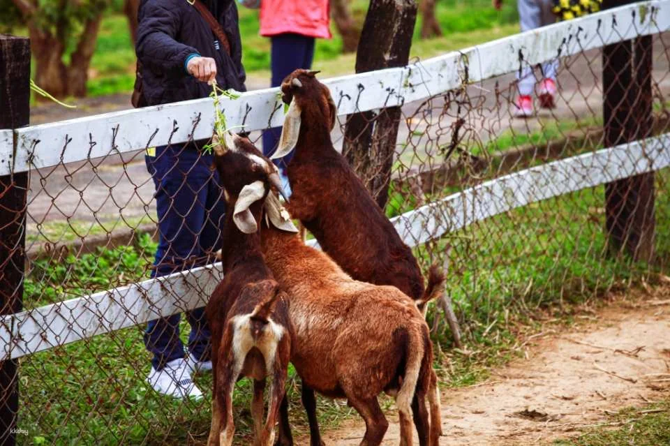 Taitung Native Plant Garden | Admission Tickets & Meal Vouchers