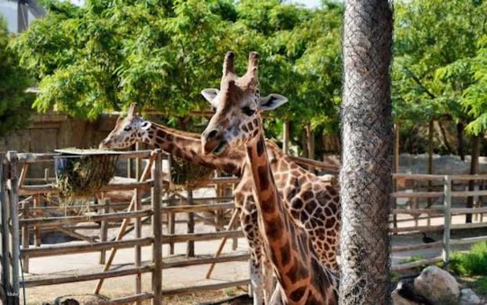 Terra Natura Theme Park in Murcia Entrance Ticket