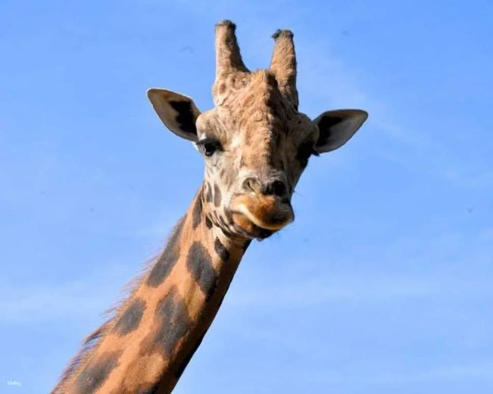 Terra Natura Theme Park in Murcia Entrance Ticket