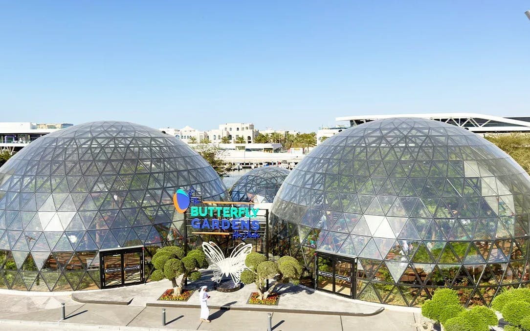 The Butterfly Gardens Abu Dhabi Entry Ticket Image 2