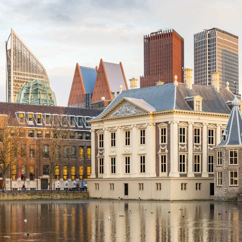 The Mauritshuis Museum Ticket