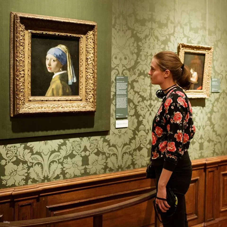 The Mauritshuis Museum Ticket