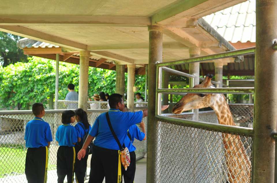 The Million Years Stone Park & Pattaya Crocodile Farm Admission Ticket | Thailand