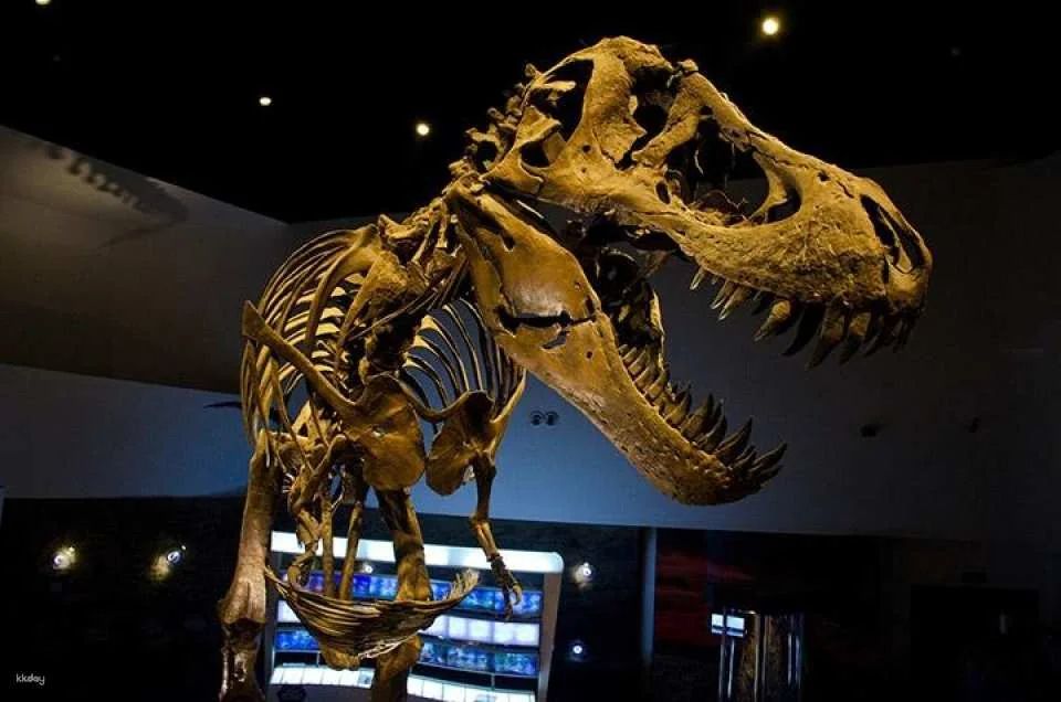 The Mind Museum | Philippines