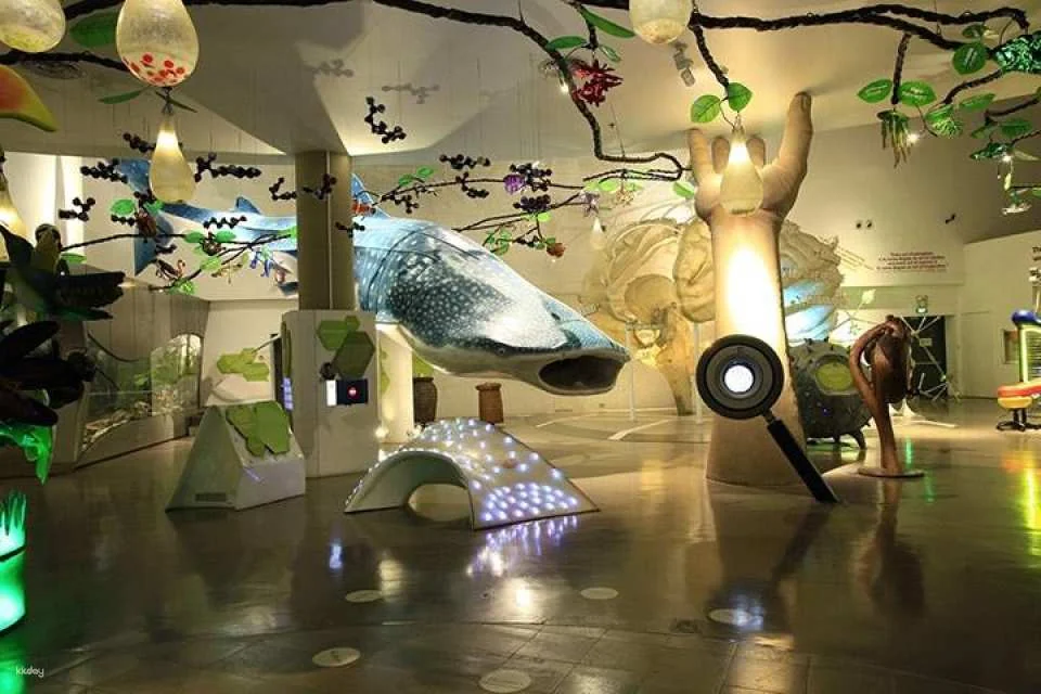 The Mind Museum | Philippines