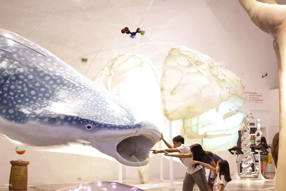 The Mind Museum | Philippines