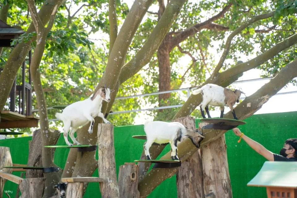 Tickets for Chiayi Meie Shangshu Cute Pet Paradise