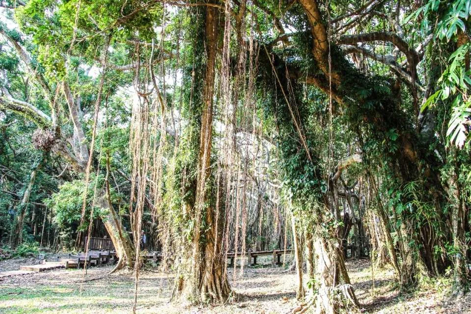 Tickets for Kenting National Forest Recreation Area & Eluanbi Park, Pingtung