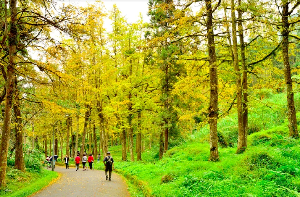 Tickets for Nantou Xitou Nature Education Park. Package