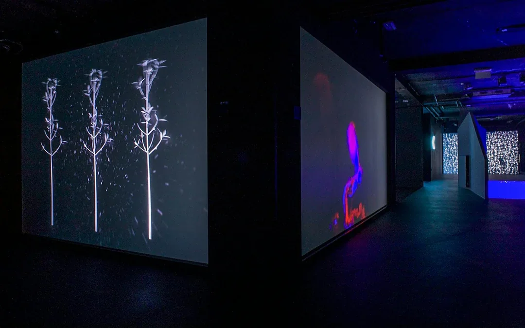 Tickets to Audiovisual Light Art Exhibition at Lumia Gallery Image 9