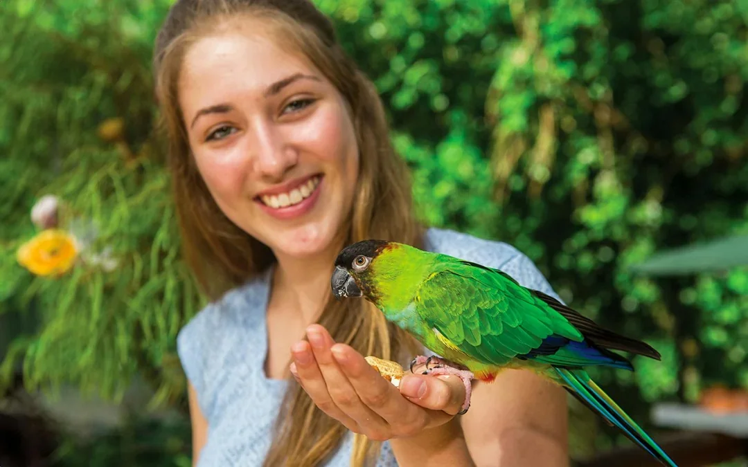 Tickets to Kuranda Koala Gardens, Birdworld Kuranda, & Australian Butterfly Sanctuary Image 1
