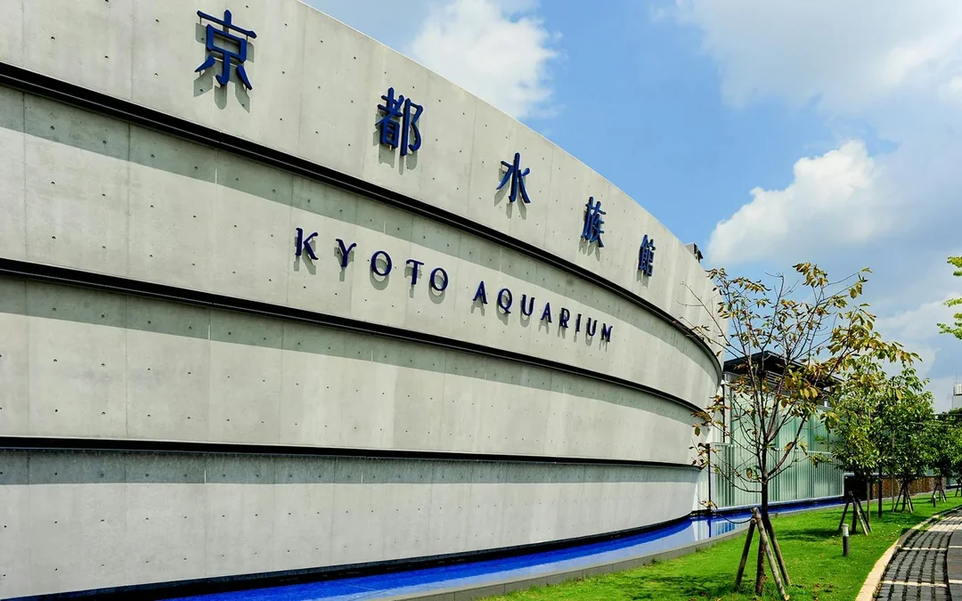 Tickets to Kyoto Aquarium Image 3