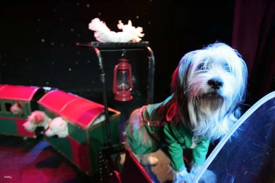 Tickets to Popovich Comedy Pet Theater