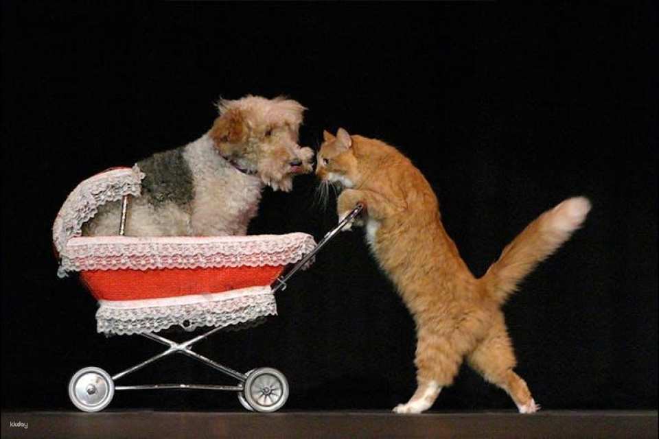 Tickets to Popovich Comedy Pet Theater