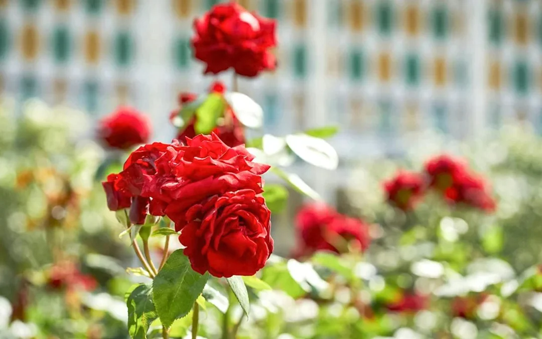 Tivoli Gardens Entry Tickets with Unlimited Ride Pass Image 10