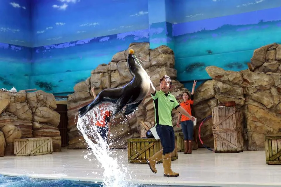 Toba Aquarium Admission Ticket｜Japan