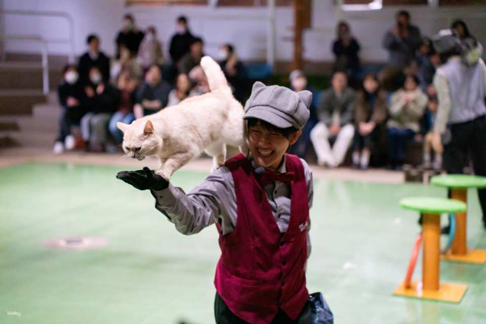 Tochigi, Japan | Nasu Animal Kingdom E-Ticket Reservation [100 yen discount off the local price!]