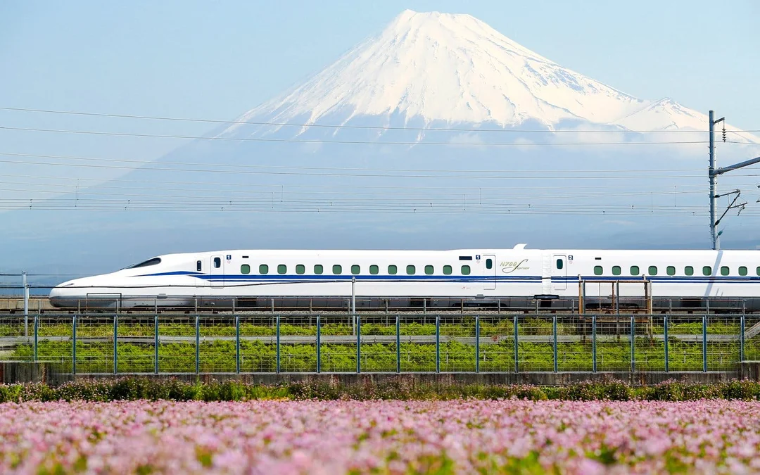 Tokaido Shinkansen One-Way Ticket (Green Car) Image 3