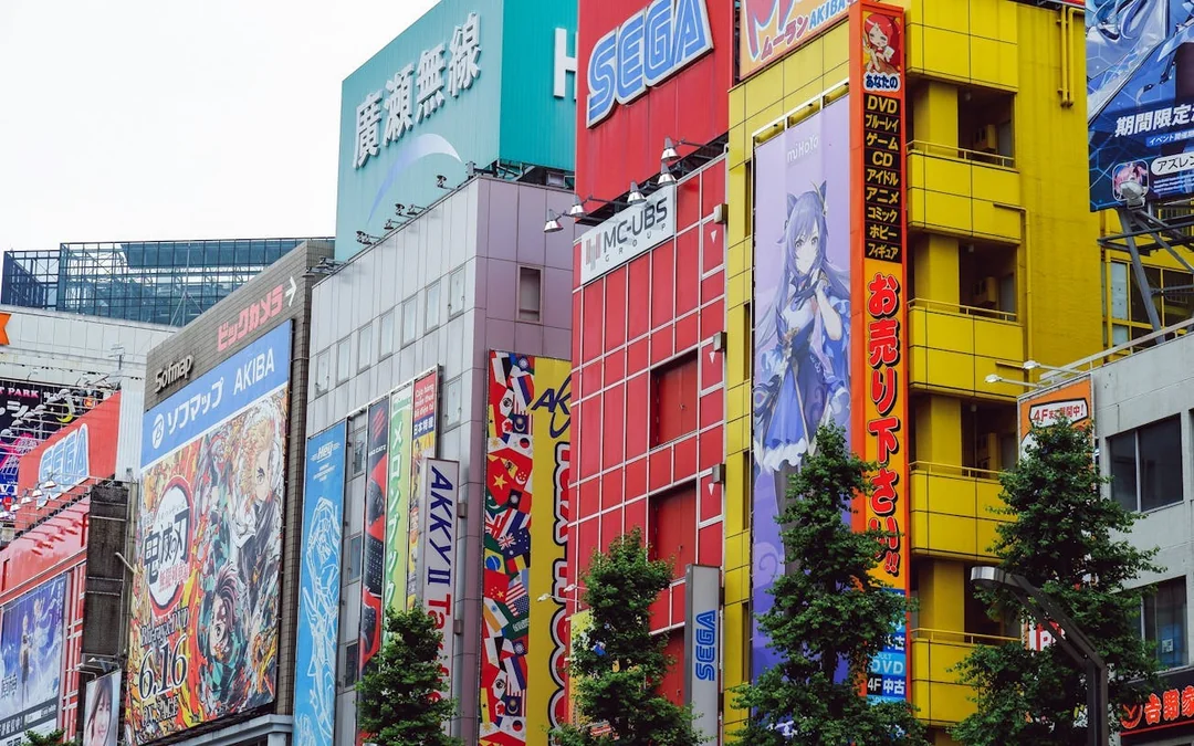 Tokyo Akihabara Anime, Gaming, and Cyberpunk Walking Tour with Local Guide Image 2
