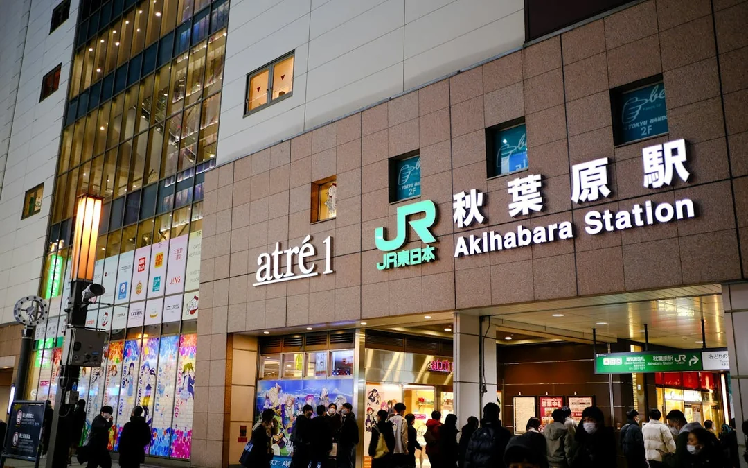 Tokyo Akihabara Anime, Gaming, and Cyberpunk Walking Tour with Local Guide Image 4