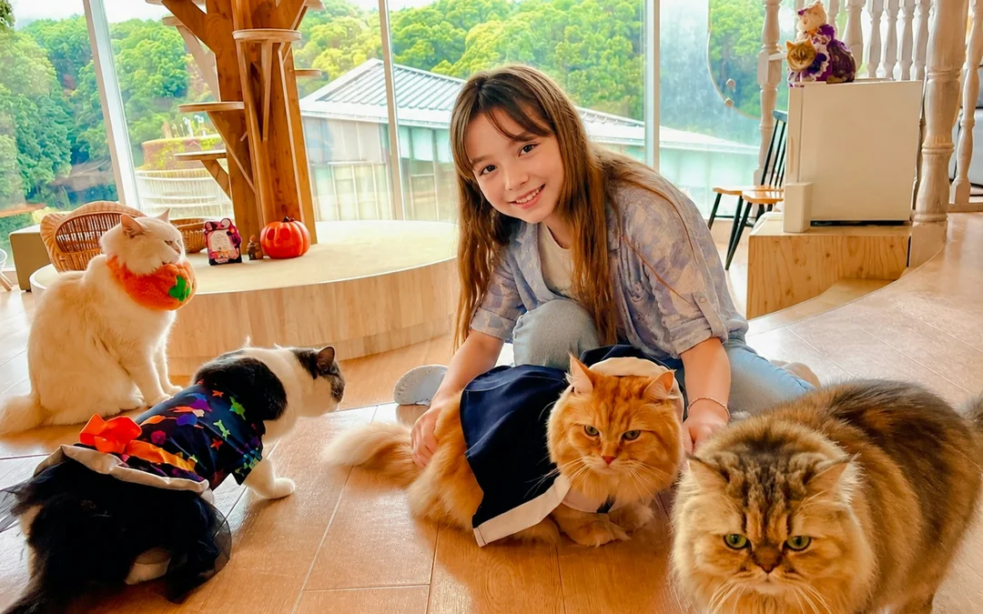 Tokyo Cat-Themed Walking Tour: Gotokuji Lucky Cat Temple and Harajuku Cat Cafe Image 1