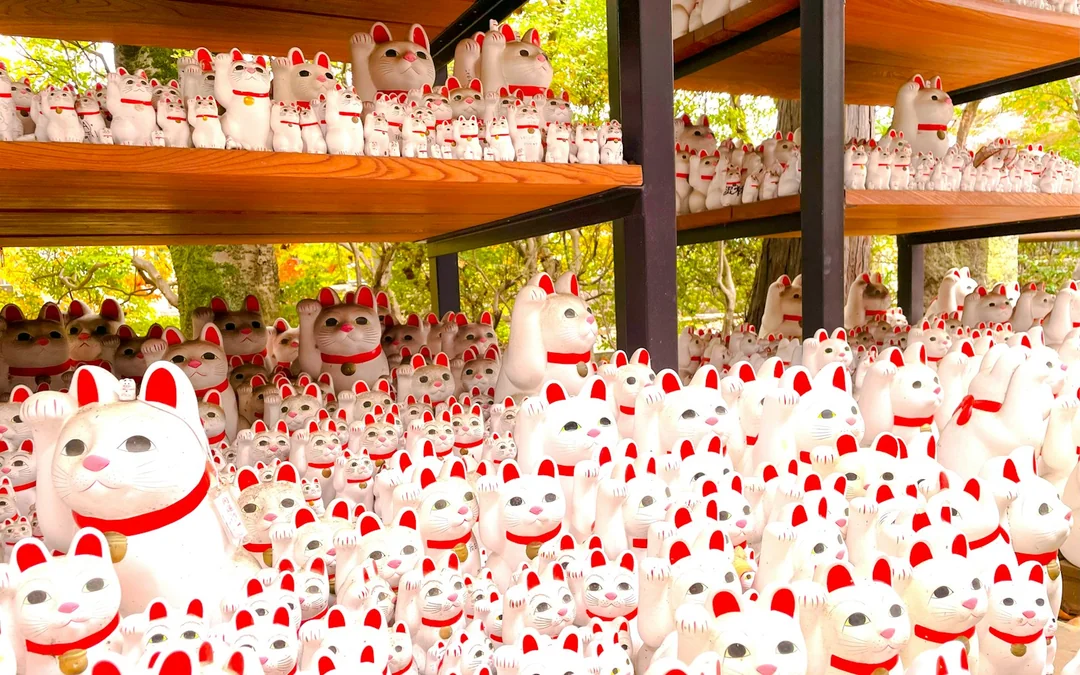 Tokyo Cat-Themed Walking Tour: Gotokuji Lucky Cat Temple and Harajuku Cat Cafe Image 6