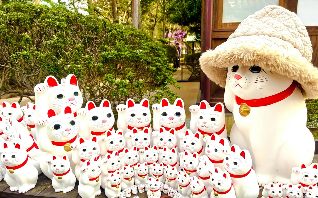 Tokyo Cat-Themed Walking Tour: Gotokuji Lucky Cat Temple and Harajuku Cat Cafe Image 9