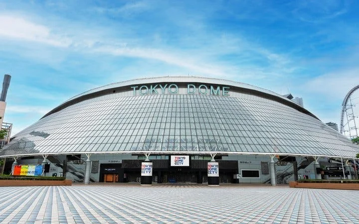 Tokyo Dome Tour: Field Access, Museum & Batting Challenge Image 4