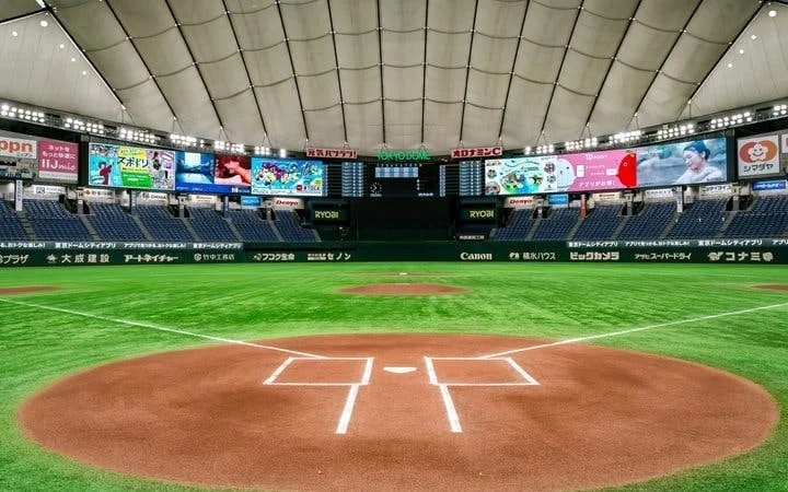Tokyo Dome Tour: Field Access, Museum & Batting Challenge Image 10