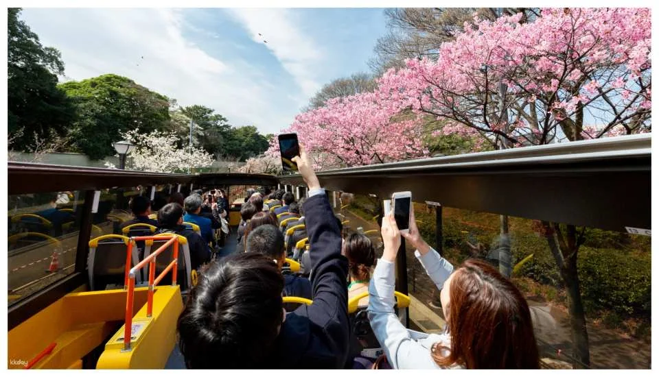 Tokyo Enjoy 1 Week Free Pass
