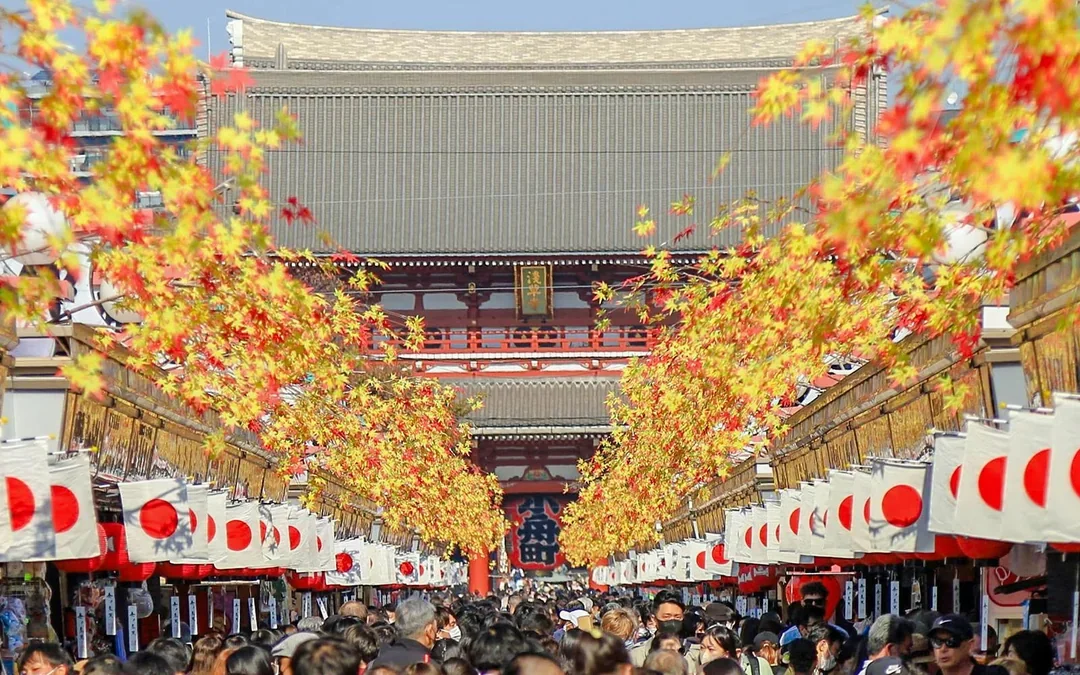 Tokyo Full‑Day City Tour with Tokyo Skytree, Meiji Jingu Shrine, Imperial Palace & More Image 8
