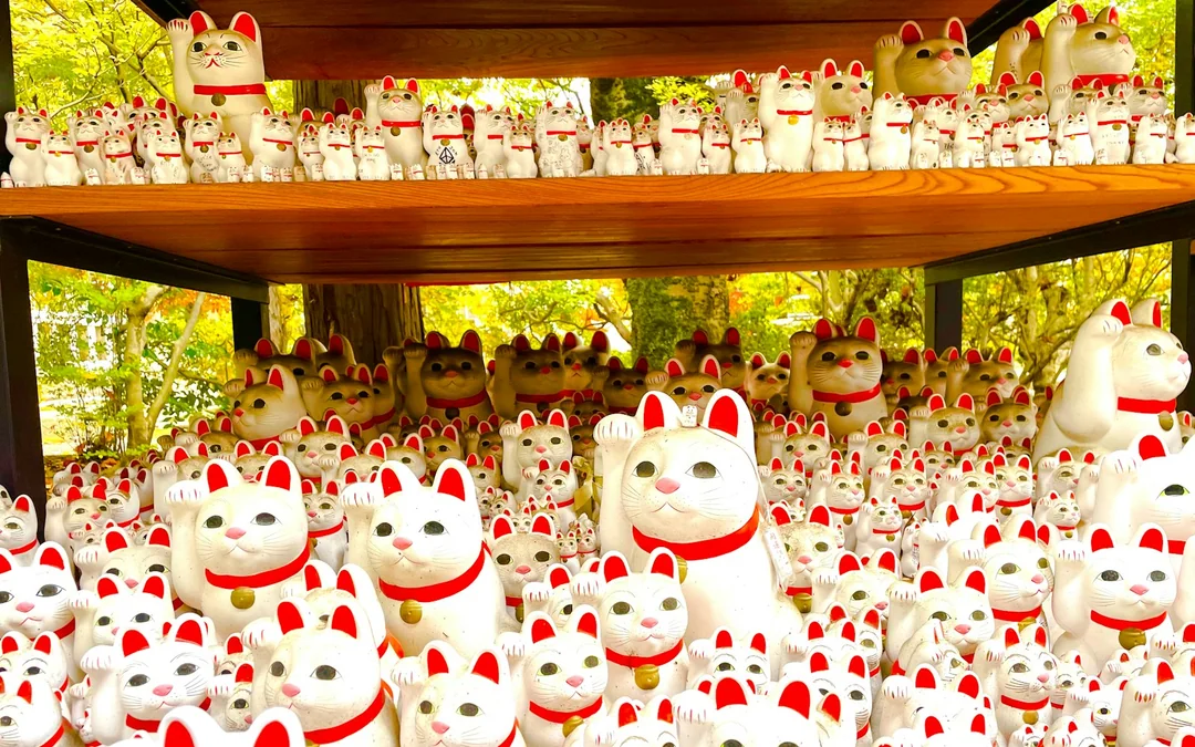 Tokyo: Gotokuji Lucky Cat Temple & Shinjuku Cat Cafe & 3D Giant Cat Tour Image 3