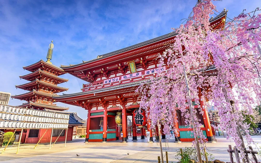 Tokyo Half-Day Tour with Tokyo Tower, Imperial Palace & Asakusa Image 3