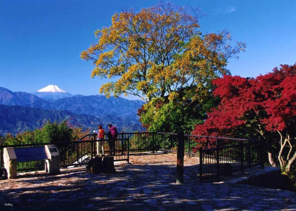Tokyo, Japan | Keio Line 1-Day Pass + Takao Mt. Chair/Ropeway Ticket + UKAI Toriyama Lunch/Dinner