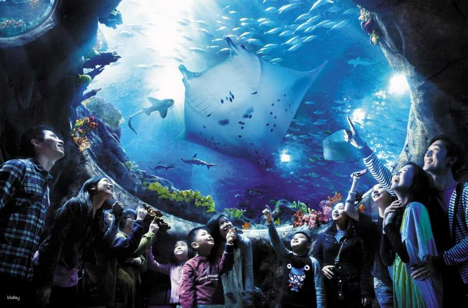 Ocean Park Hong Kong Tickets & Ocean FasTrack