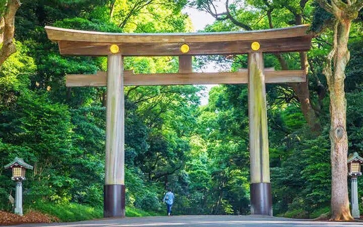 Tokyo: Meiji Shrine Walking Tour — Shinto & Imperial System Image 7