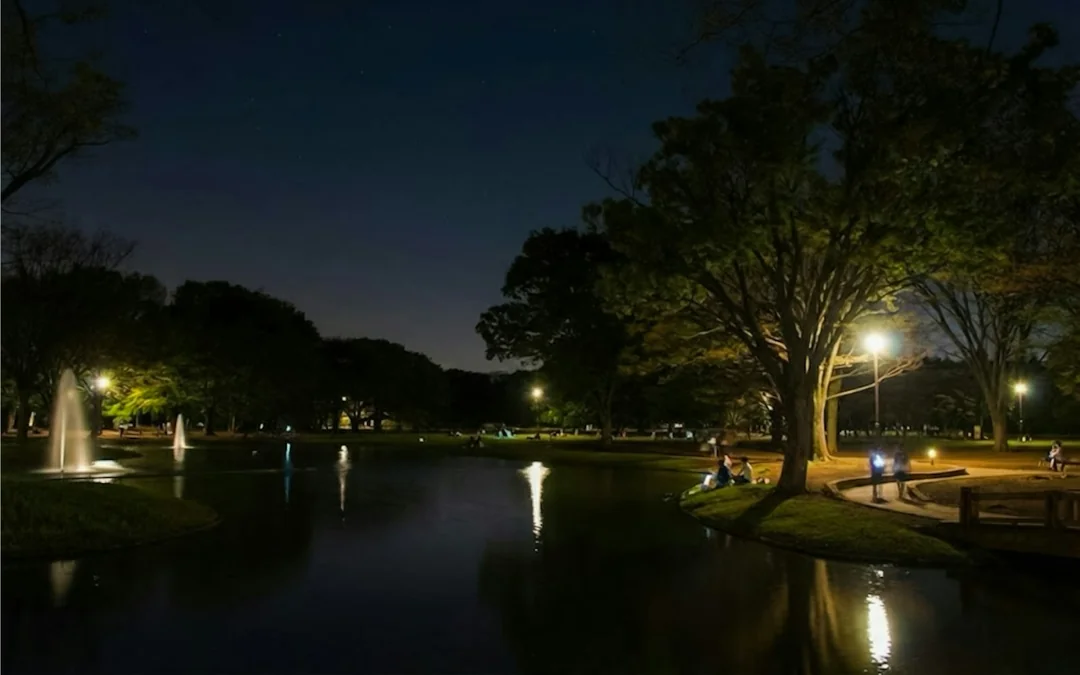 Tokyo Night Ghosts and Urban Legends Walking Tour with Aoyama Cemetery Image 4