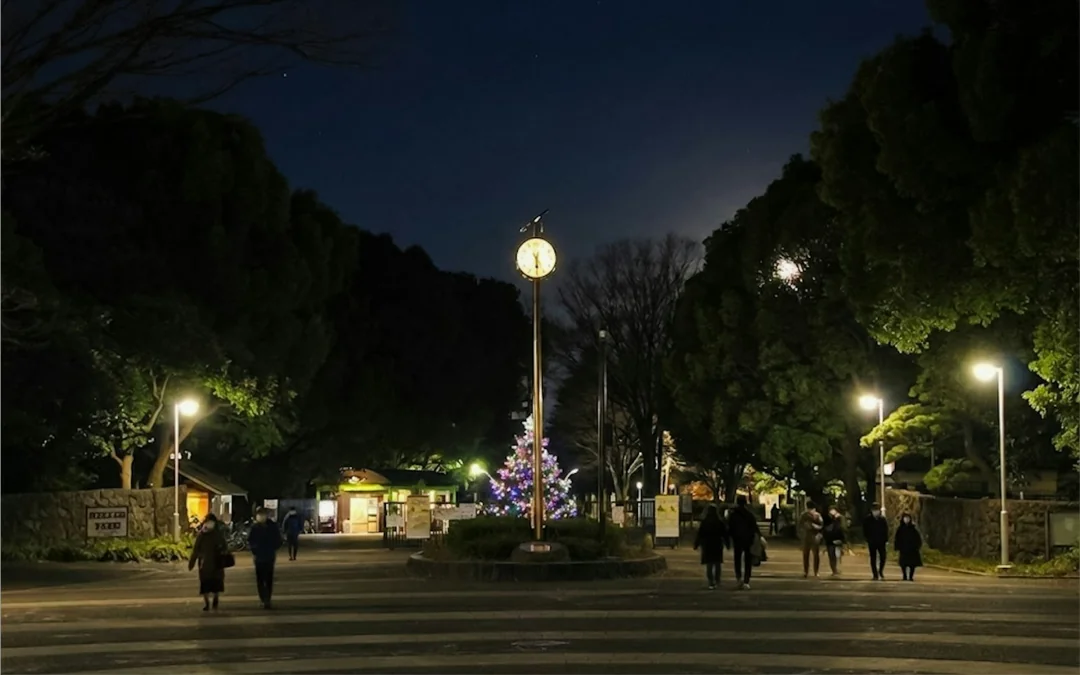 Tokyo Night Ghosts and Urban Legends Walking Tour with Aoyama Cemetery Image 5